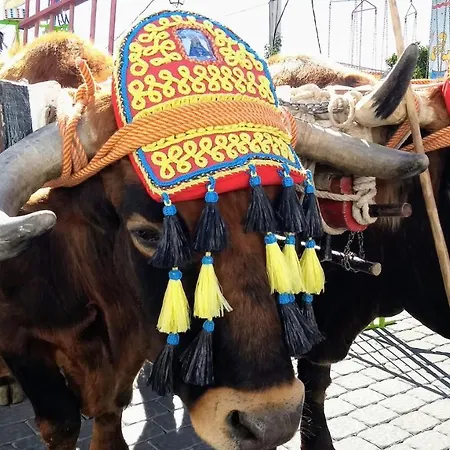 Casa Almachar Holiday home Competa