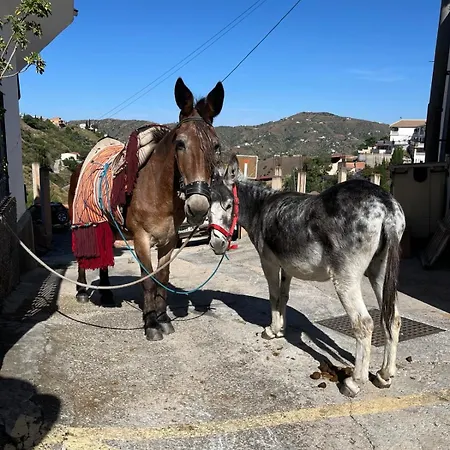 Tatil Evi Casa Almachar