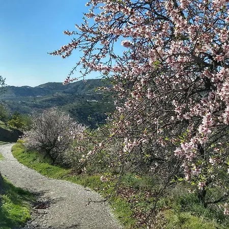 Feriehus Casa Almachar *